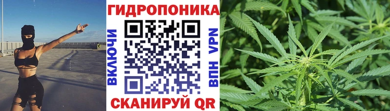 Названия наркотиков Малаховка Бошки Шишки  МЕТАМФЕТАМИН  Кокаин  Псилоцибиновые грибы  ГАШИШ  Амфетамин  МЕФ 
