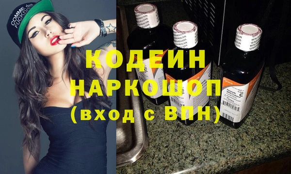индика Новосибирск