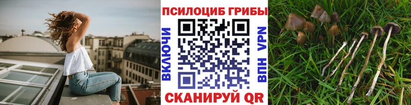 Галлюциногенные грибы мухоморы  блэк спрут вход  Малаховка 